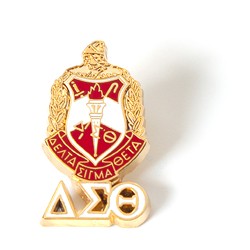 Delta Sigma Theta Jewelry 3 D Color Shield Pin with drop letters