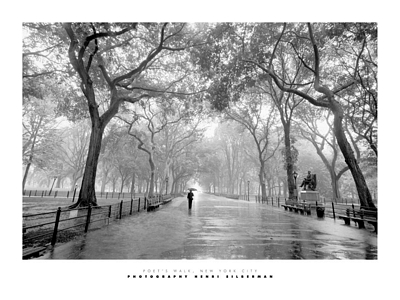 Poet's Walk; New York City