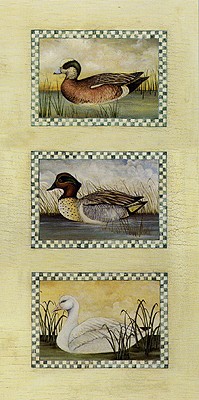American Wigeon; Green Winged Teal and Snow Goose