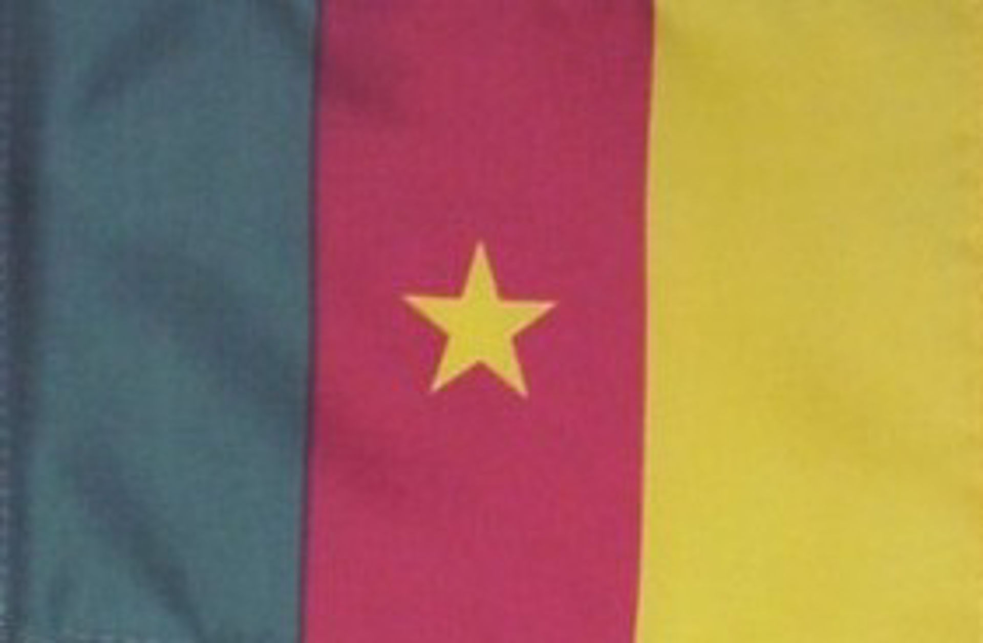 Flags Of Africa - Cameroon
